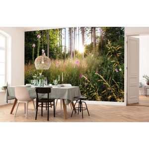 Komar Vliesfototapete Summer Glade (350x250cm) mit Waldmotiv im Esszimmer.