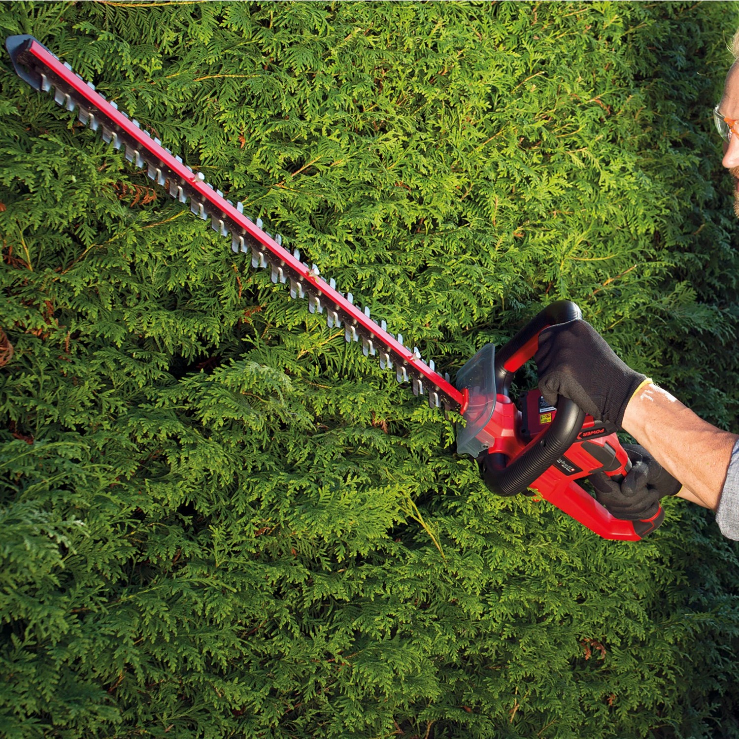 Einhell Power X-Change 18V Cortasetos de batería Arcurra Batería y
