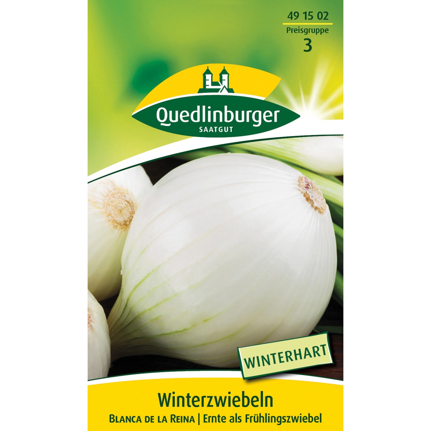 Quedlinburger Zwiebel ''Blanca de la Reina'' günstig online kaufen