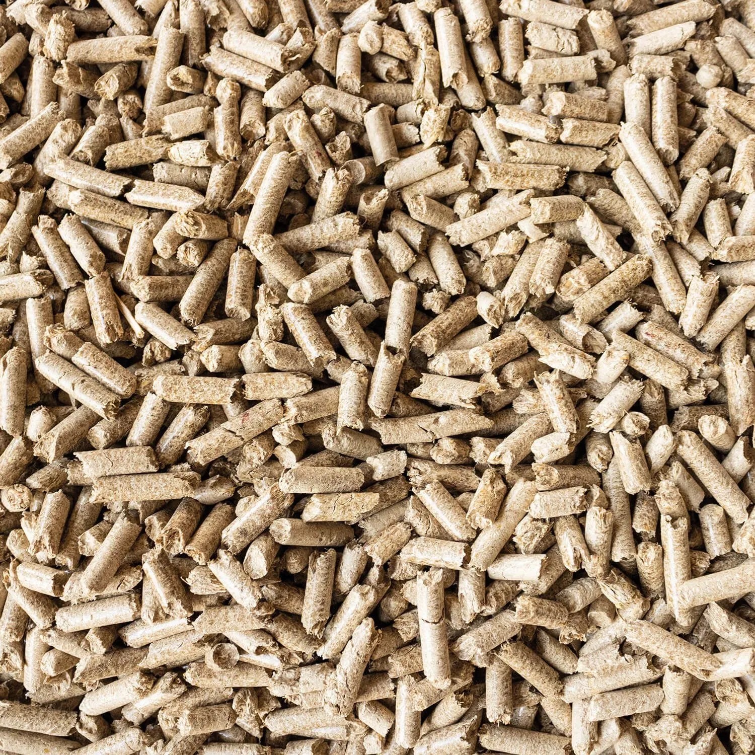 Helle, zylindrische STROY Strohpellets Einstreu für Kleintiere, dicht beieinander liegend.
