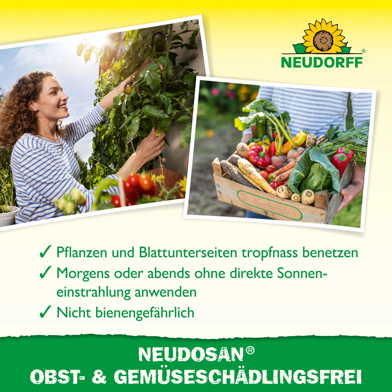 Neudorff Neudosan Schädlingsfrei für Obst & Gemüse: Frau erntet Tomaten, Kiste mit Gemüse.