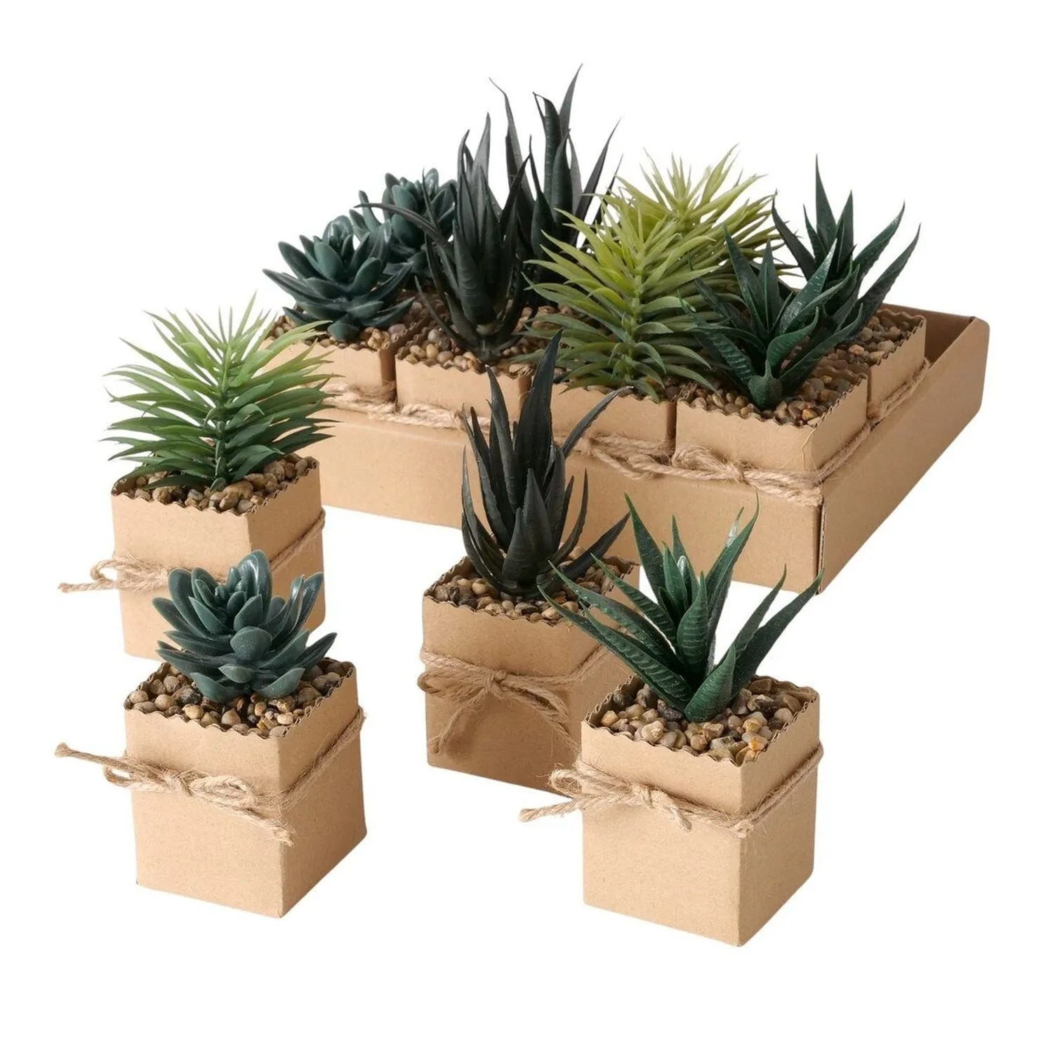 Boltze Topfpflanze Agamo 4-fach sortiert 1 Stück