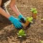 Gardena Pflanzhandschuhe Größe M beim Pflanzen im Garten. Gartenbekleidung für sicheren Halt.