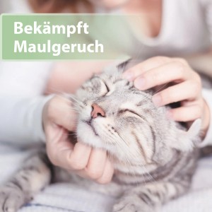 Katze genießt Zahnpflege mit Felisept Finger-Pads. Fördert die Mundhygiene und reduziert Maulgeruch.