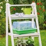 Romberg Gewächshaus M auf Leiterregal mit Pflanzen, Gießkanne und Gartenhandschuhen.