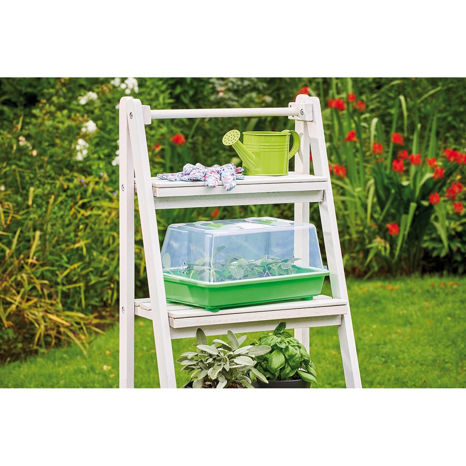 Romberg Gewächshaus M auf Leiterregal mit Pflanzen, Gießkanne und Gartenhandschuhen.