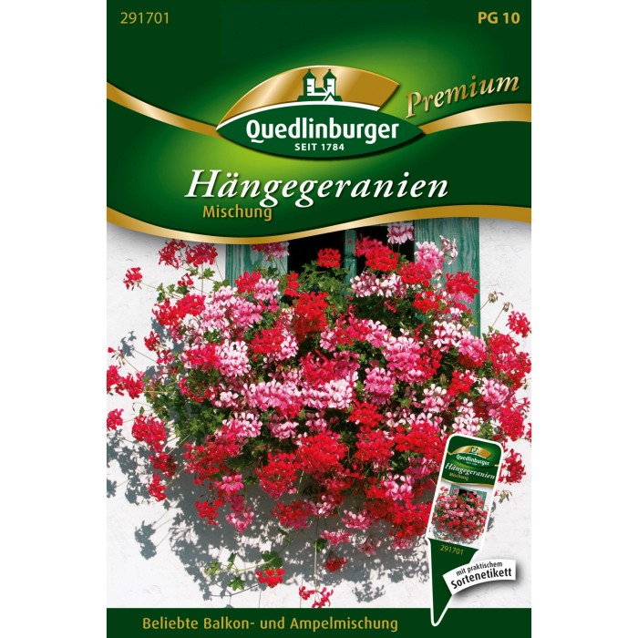 Geranien kaufen bei OBI