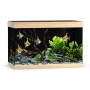 Juwel Aquarium Rio 290 LED, helles Holz, bepflanzt und mit Fischen, Komplettset.