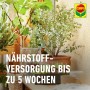 Compo Bio Zitruserde torffrei für gesunde Zitruspflanzen, bis zu 5 Wochen Nährstoffversorgung.