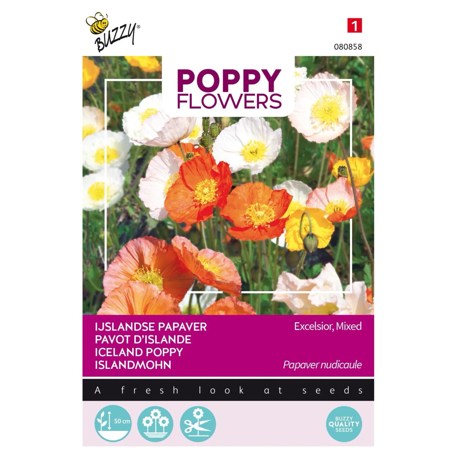 Islandmohn Buzzy Poppy Flowers Samen Ca. 0,5 g Große Blüten