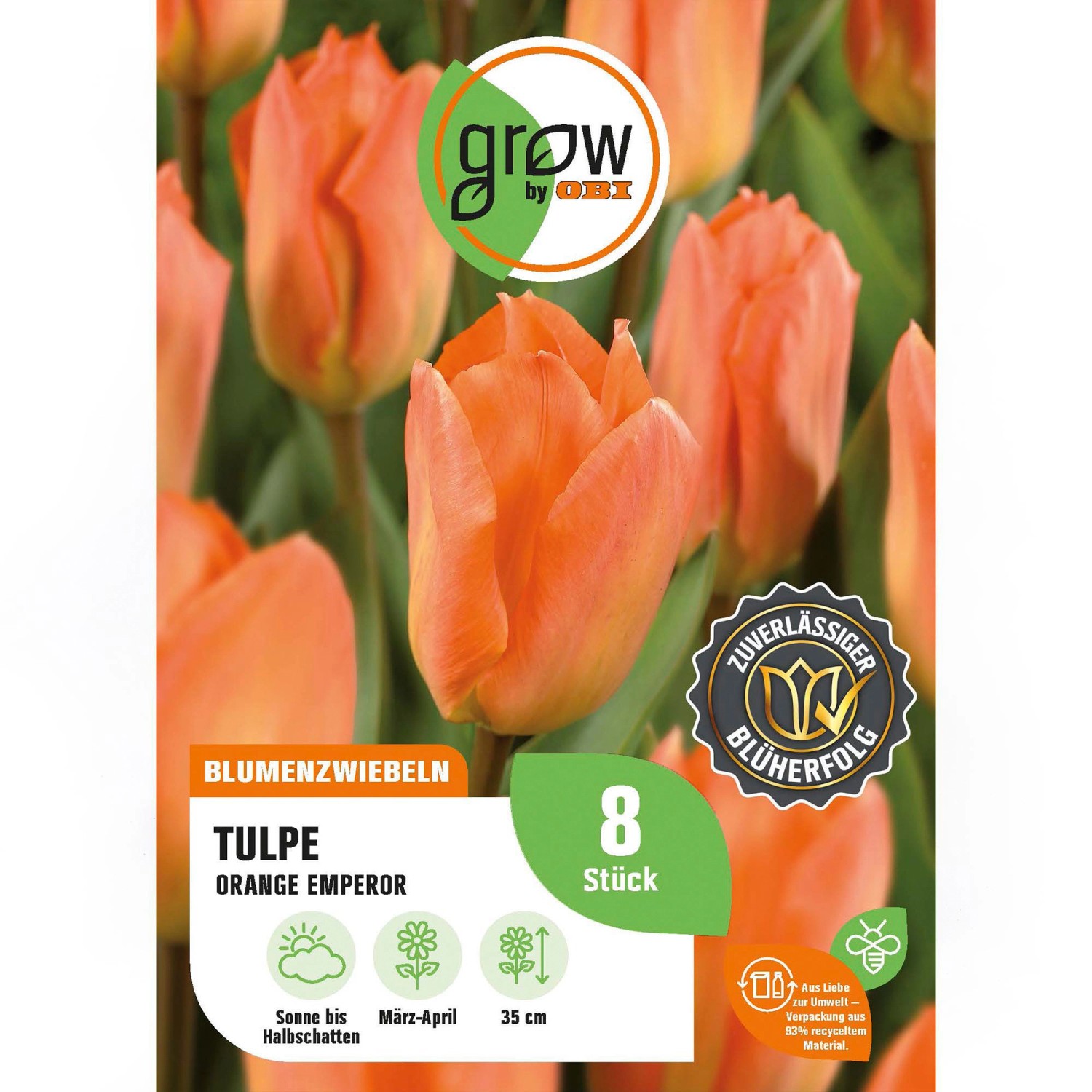 GROW by OBI Tulpe Orange Emperor Orange 8 Stück Tulipa fosteriana günstig online kaufen