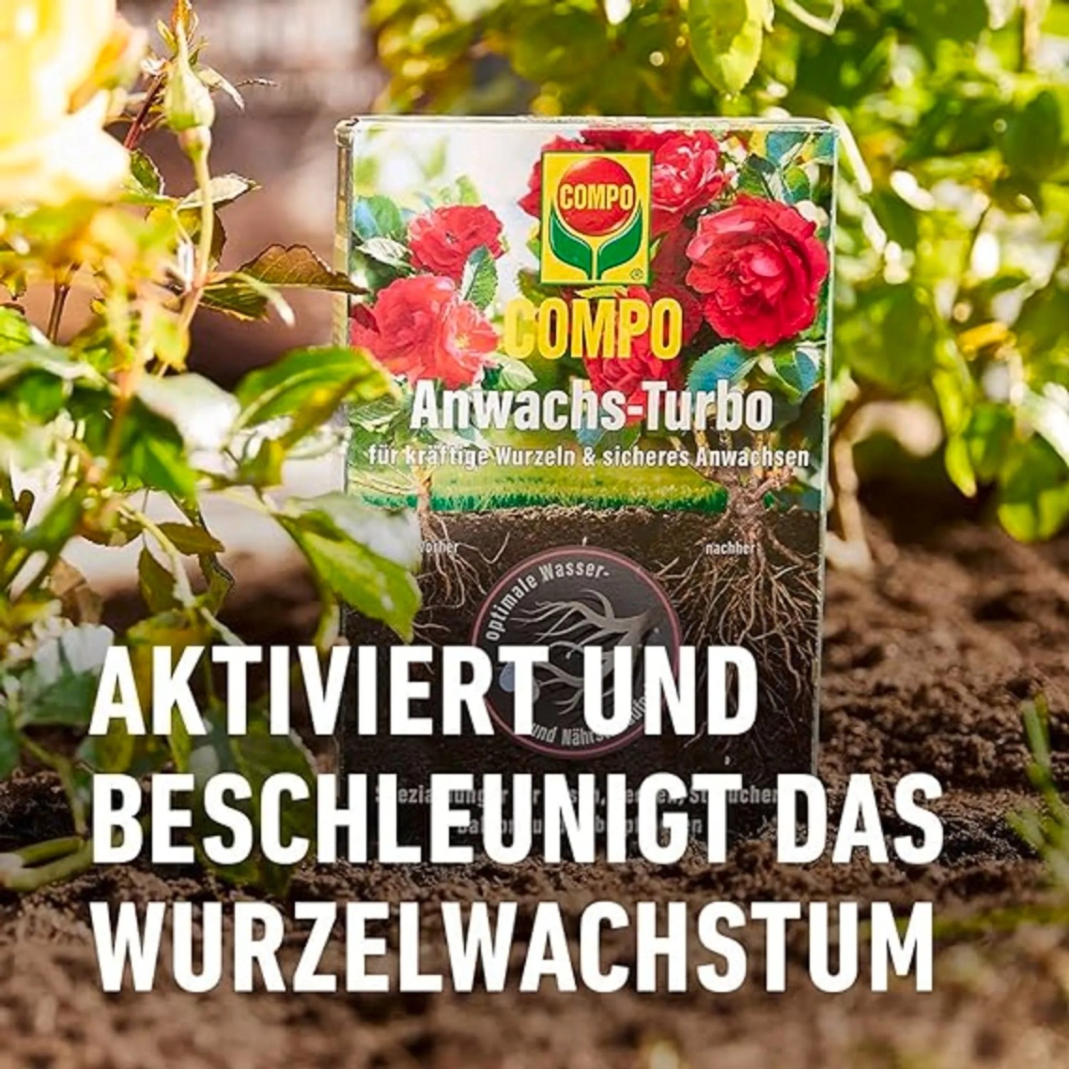 Compo Wurzel-Turbo 700g für kräftiges Wurzelwachstum und sicheres Anwachsen von Pflanzen.
