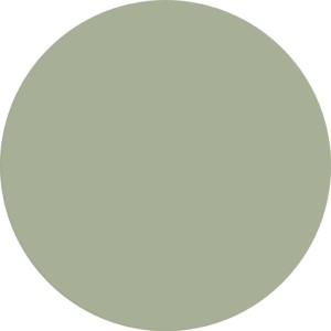 Farbfeld der Alpina Wandfarbe Pure Farben Eukalyptusgrün