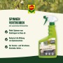 Compo Spinnen-Raus Spray 750ml: Mittel zur Spinnenabwehr für Haus und Garten.