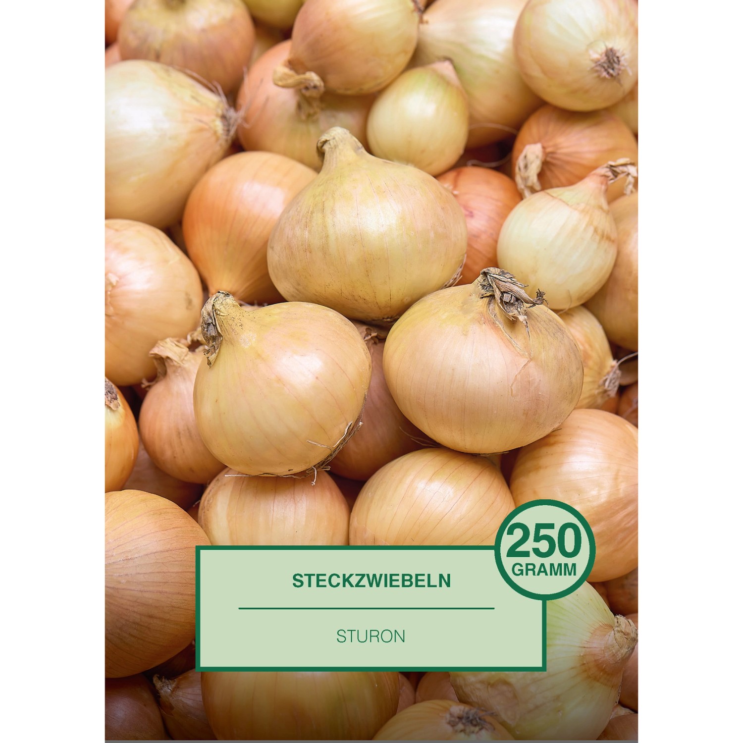 Steckzwiebel 250 Gramm Allium cepa Sturon günstig online kaufen