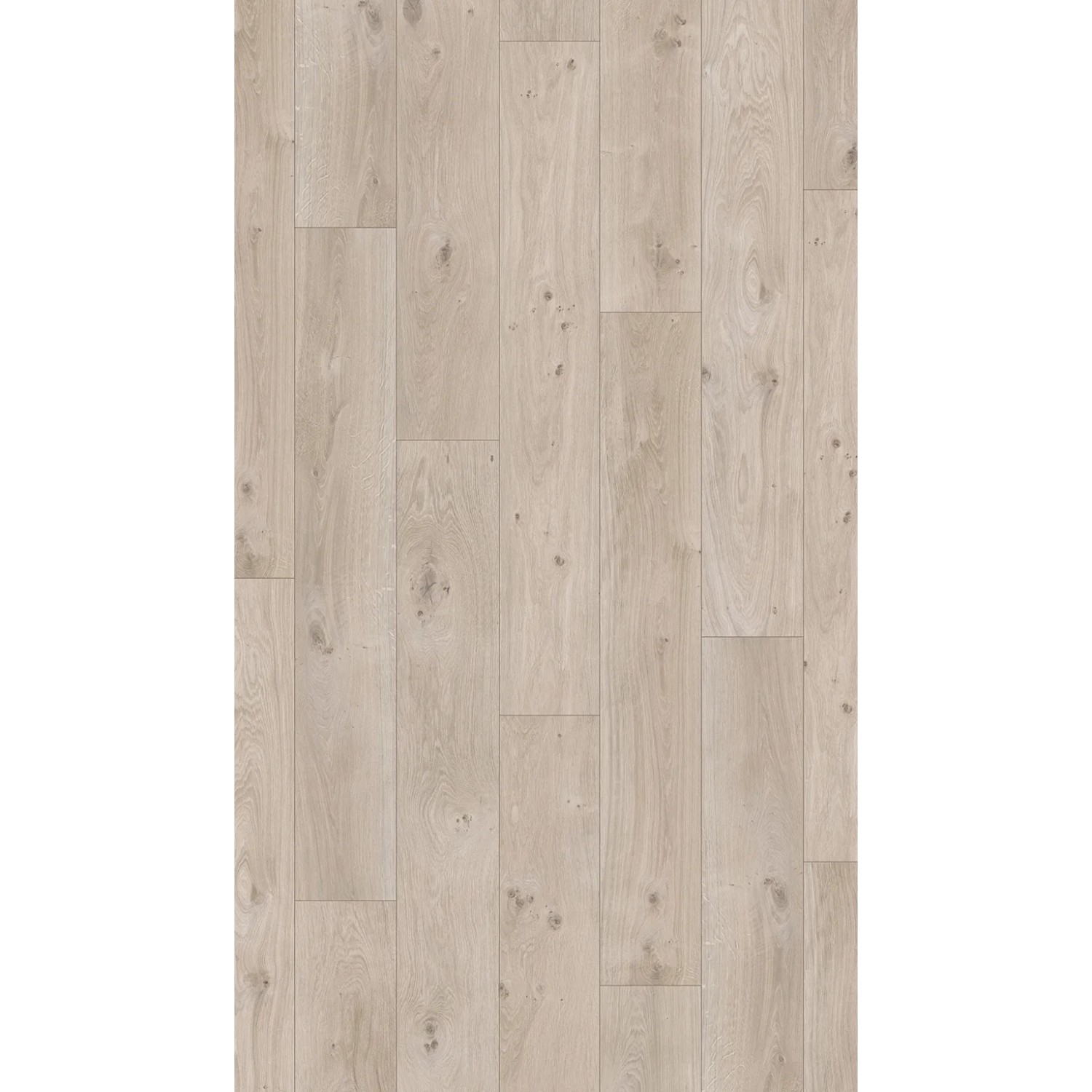 Parador Laminat Basic 400, Eiche Natur Grau, wasserfest, 8mm stark.