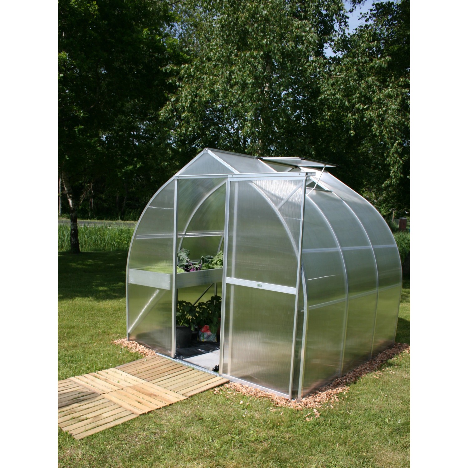 KGT Gewächshaus Alu blank 5,15 m² im Garten mit geöffneter Tür und Pflanzen.