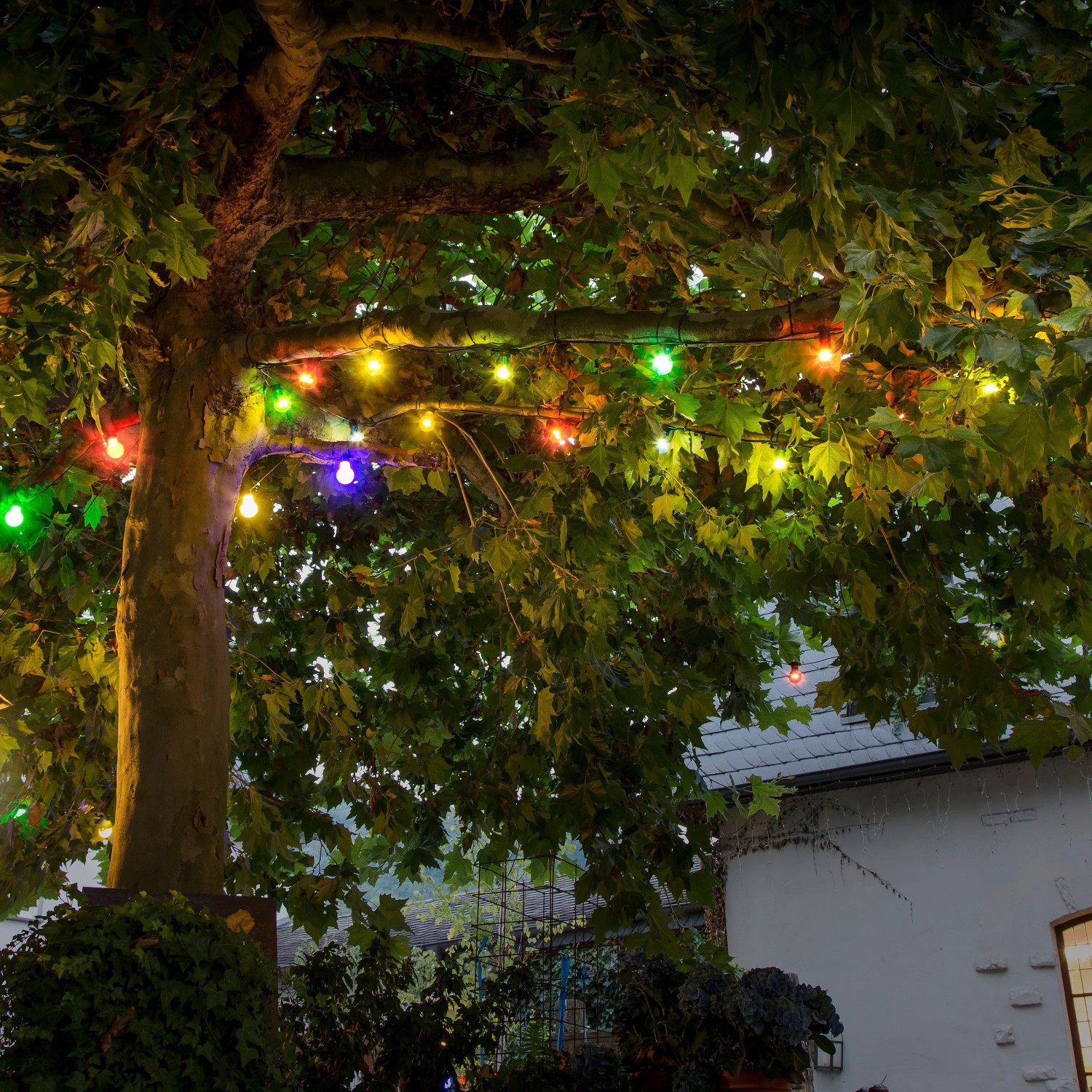 Konstsmide bunte Lichterkette LED Outdoor 10 Leuchtmittel 24 V IP44 kaufen bei OBI