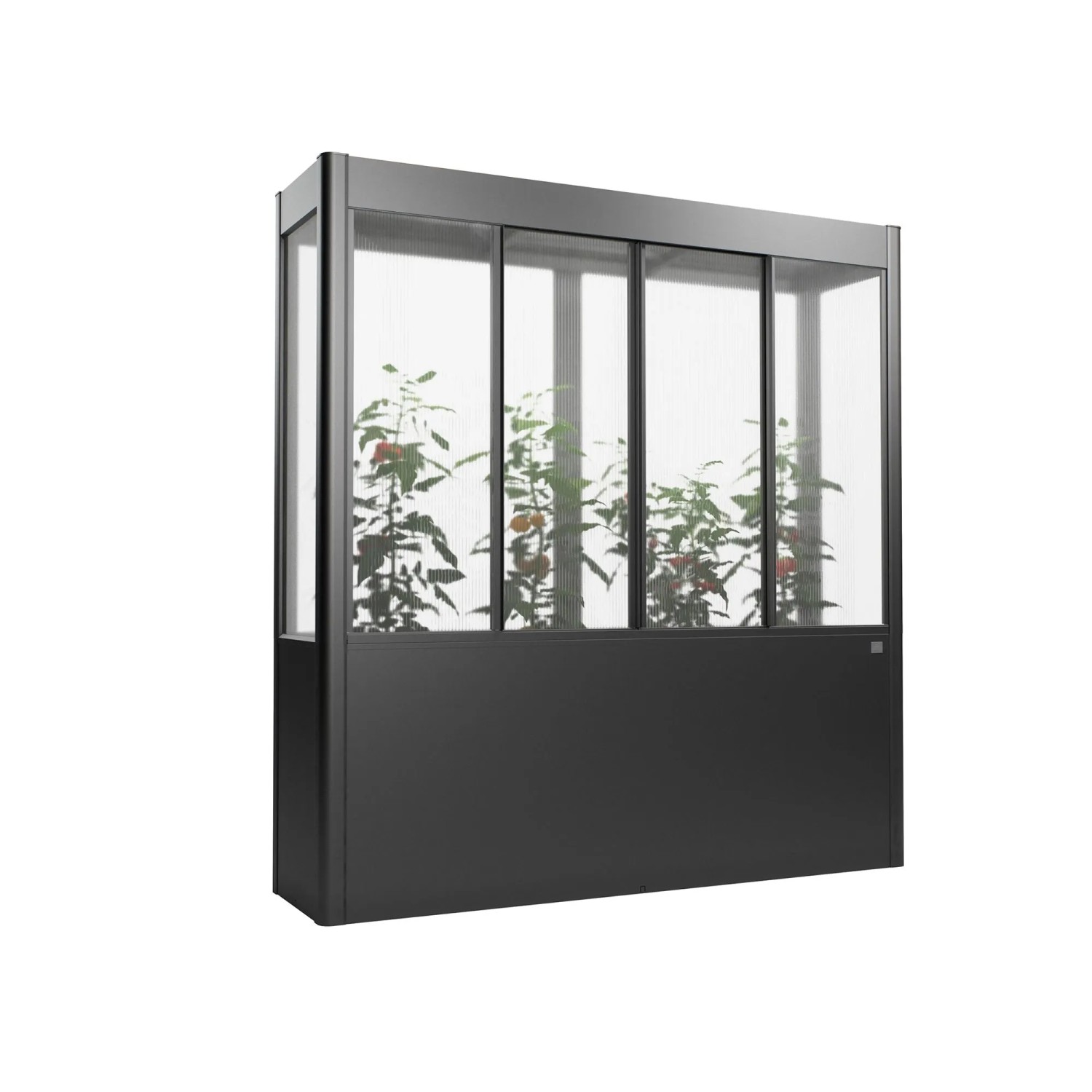 Dunkelgraues Biohort Gewächshaus Florentina Maxi mit transparentem Oberteil und Pflanzen. Ideal für Hochbeete.