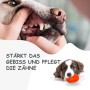 Petsation Kauspielzeug Ball_4