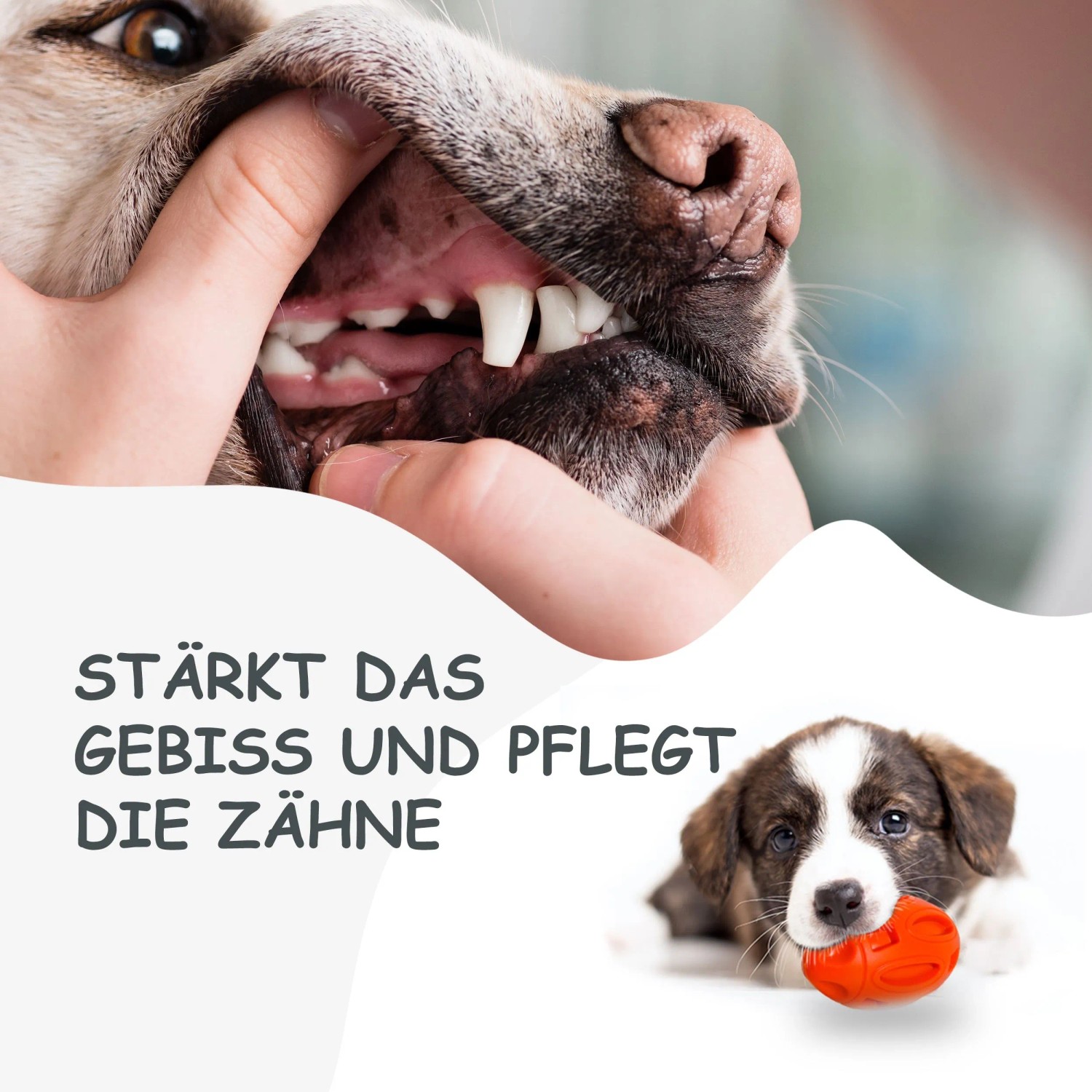 Petsation Kauspielzeug Ball_4