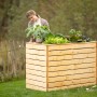 Westmann Hochbeet aus Fichte (Größe L) mit Bepflanzung und Frau im Garten.