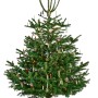 Geschmückter Weihnachtsbaum im Krinner Christbaumständer X-440 Deluxe mit Wasserstandsanzeige.