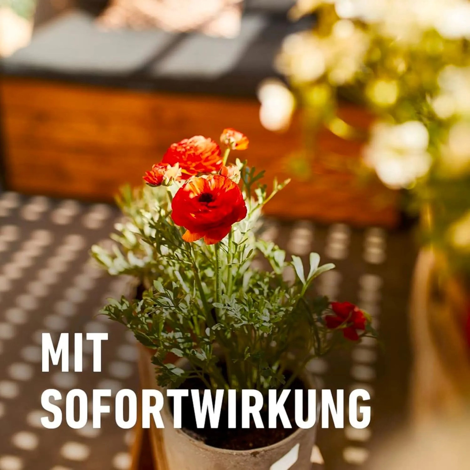 Compo Langzeitdnger fr Balkon- und Kbelpflanzen 6 Monate 1,2 kg kaufen  bei OBI