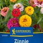 Kiepenkerl Zinnien Liliput Mischung mit bunten Blüten im Gartenbeet.