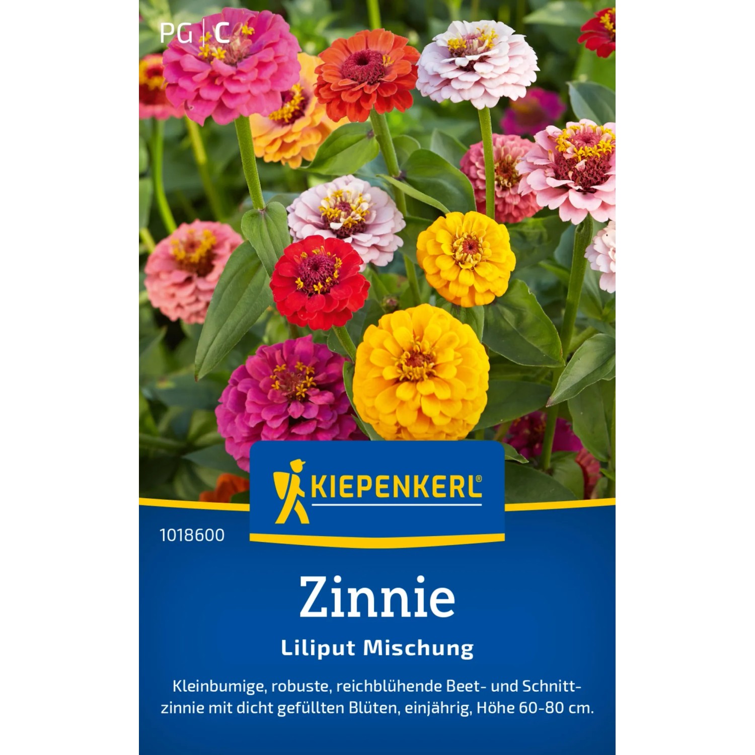 Kiepenkerl Zinnien Liliput Mischung mit bunten Blüten im Gartenbeet.