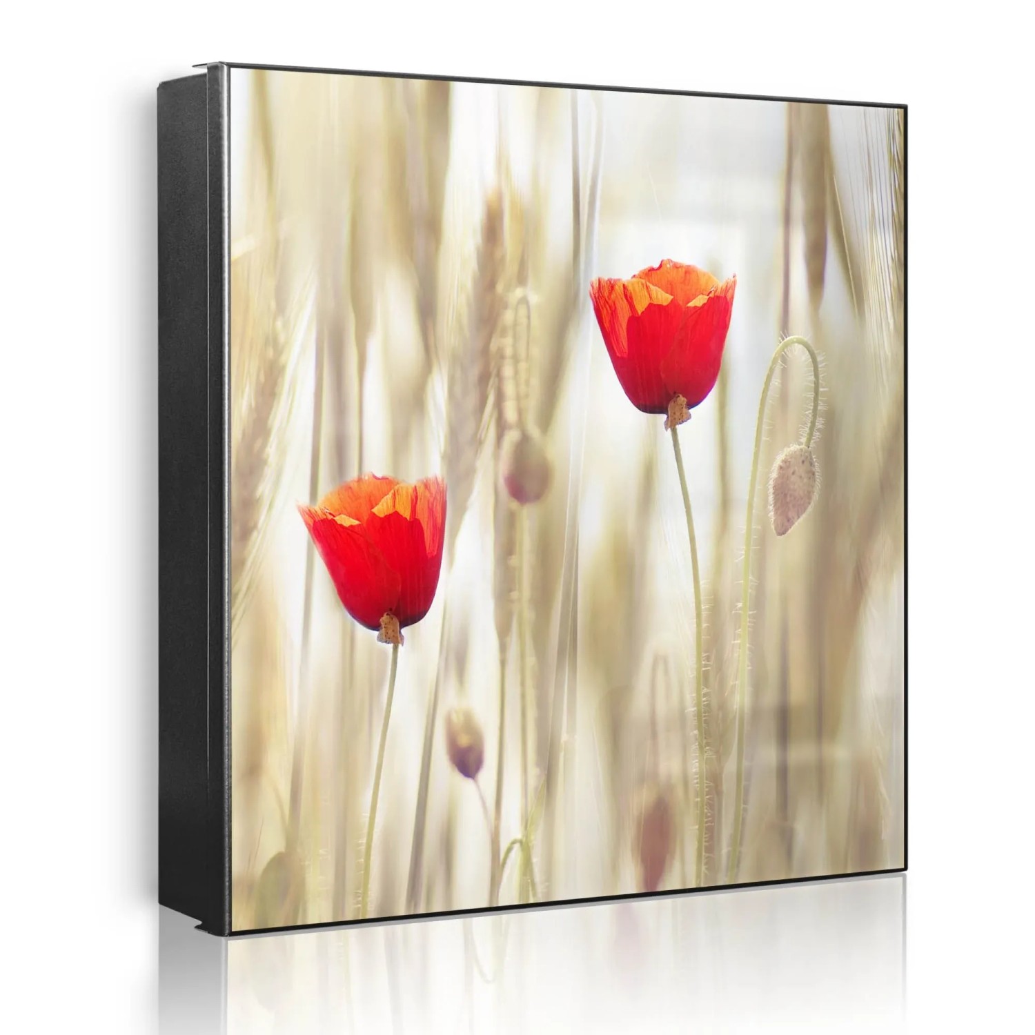 Banjado Großer Schlüsselkasten Metall 30x30cm Schwarz Scharnier Links 50 Haken Beschreibbar Magnetisch Motiv Klatschmohn