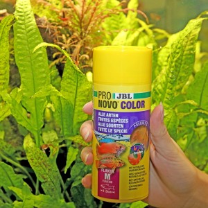 JBL Pronovo Color Flakes M Fischfutter, 250ml Dose für Aquarienfische.