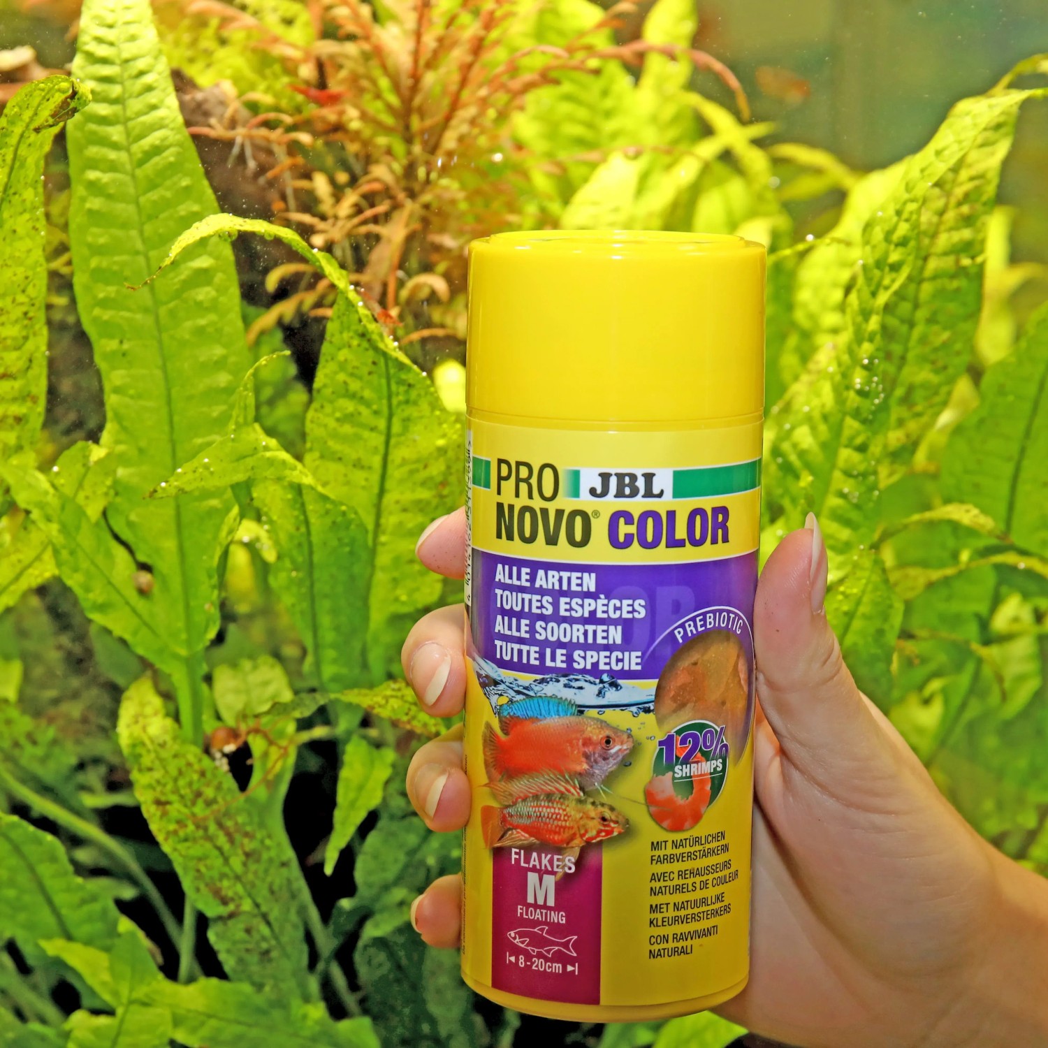 JBL Pronovo Color Flakes M Fischfutter, 250ml Dose für Aquarienfische.