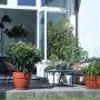 Anthrazitfarbene Elho Blumenschale Vibia Campana (Ø 27 cm) mit Pflanze im Garten.