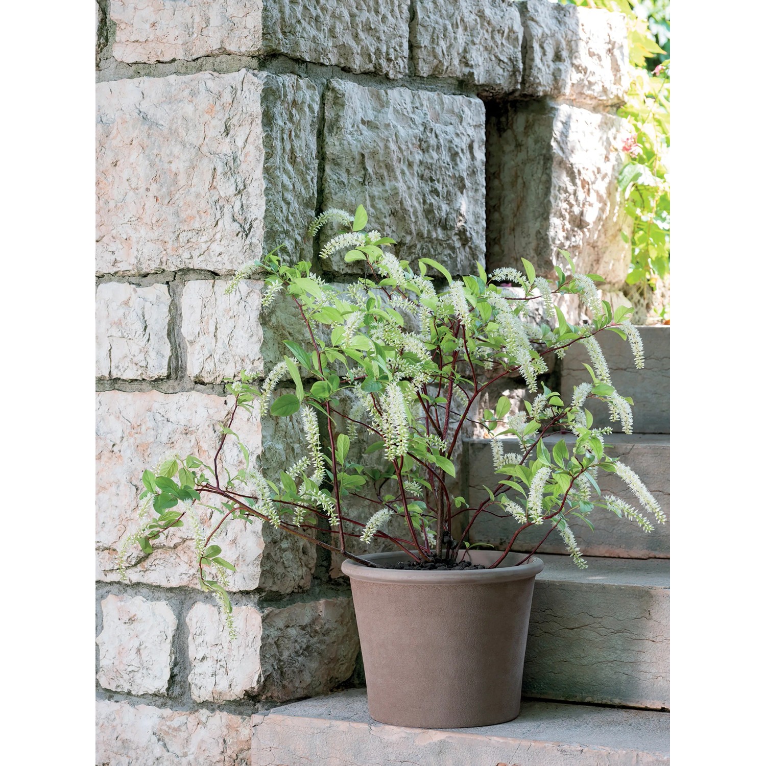 blumenkasten schmal 9 cm JARDI 50 Anthrazit  Balkonkasten 50x17x17 cm 8 kg Naturschiefer Schwa   CLIMAQUA