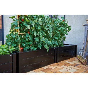 Schwarzer Juliana Pflanzkasten (37x55x95cm) mit Tomatenpflanzen, ideal für Gewächshaus & Garten.