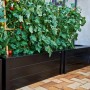 Schwarzer Juliana Pflanzkasten (37x55x95cm) mit Tomatenpflanzen, ideal für Gewächshaus & Garten.