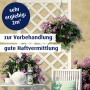 Belton Free AQUAprimer Grundierung Weiß matt 400ml Dose auf Gartentisch mit Deko.