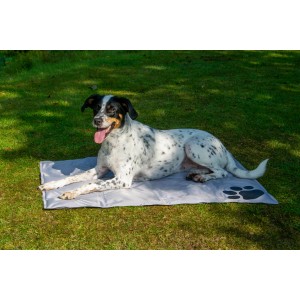 Hund liegt auf grauer Kühlmatte mit Pfotenmuster (99,5x70cm) im Garten. Dobar Hundekissen für Hunde.