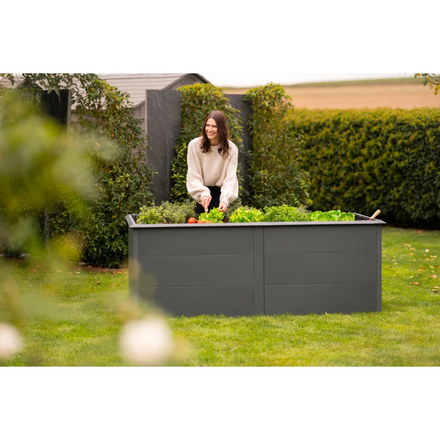 Westmann Hochbeet Primus aus Metall, 2x1m, anthrazit, mit Schneckenschutz. Frau erntet Salat.