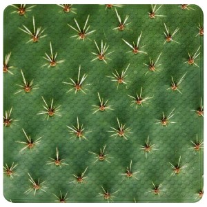 Grüne Sanilo Badematte mit Kaktus-Muster und Saugnäpfen für sicheren Halt im Bad.