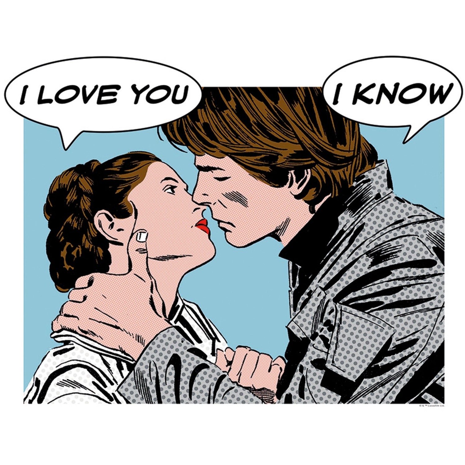 Komar Wandbild Star Wars Leia Han 50 x 40 cm