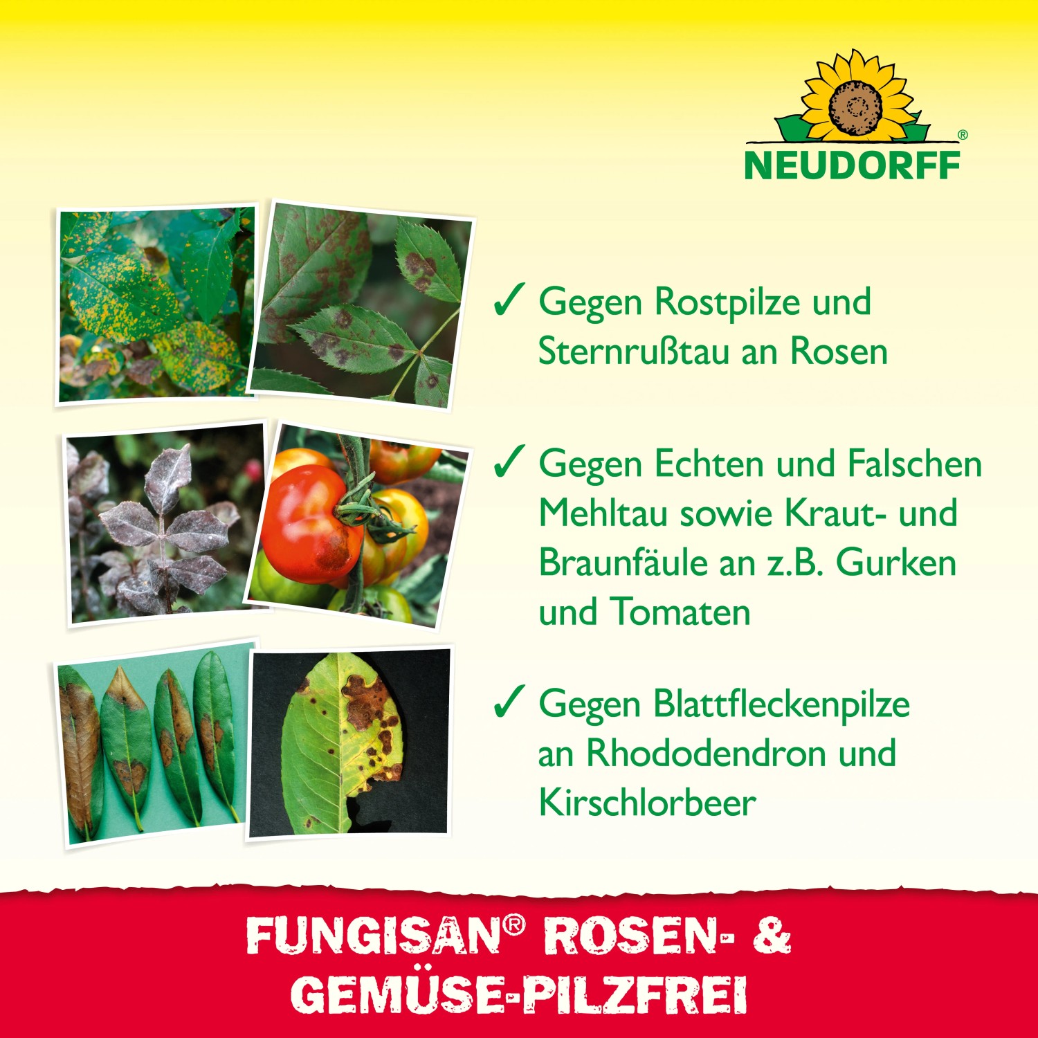Neudorff Fungisan Rosen- und Gemüse-Pilzfrei: Konzentrat gegen Pilzbefall an Rosen, Gemüse und Zierpflanzen.