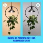 WiZ LED Lampe E27 mit warmweißem und kaltweißem Licht in Glühlampenform.