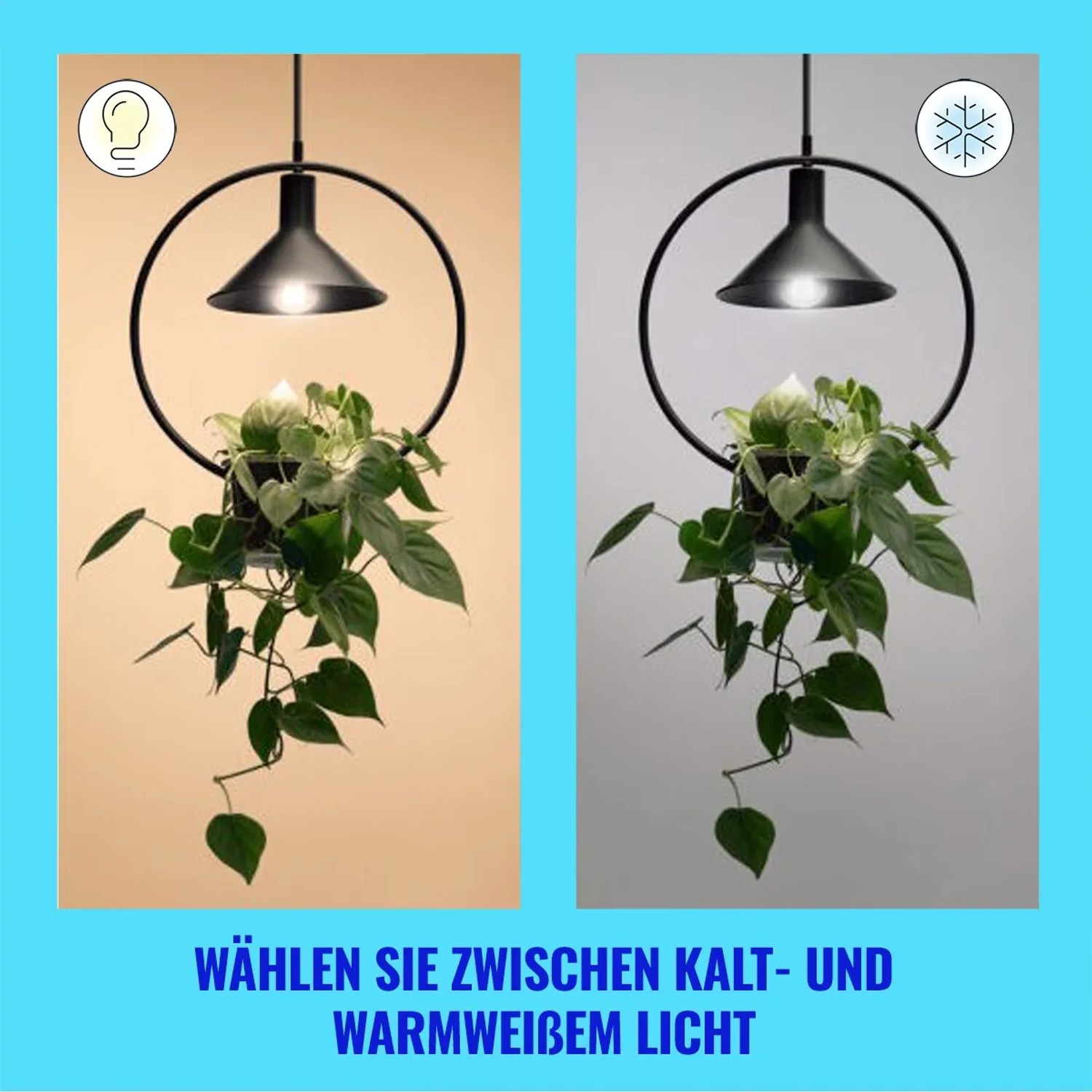 WiZ LED Lampe E27 mit warmweißem und kaltweißem Licht in Glühlampenform.