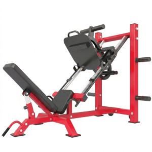 SPORTNOW Beinpresse Stahl 185 x 120 x 140 cm Rot