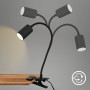 Schwenkbare Briloner LED-Klemmleuchte FLEKS in Schwarz mit Kabelschalter.