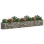Langes Gabionen-Hochbeet aus verzinktem Eisen, gefüllt mit Steinen und bepflanzt mit Büschen und Blumen.