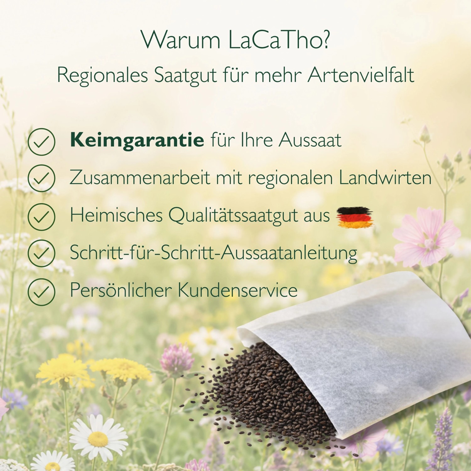 LaCaTho Johanniskraut Samen, Tüte mit Saatgut auf Blumenwiese. Text: Keimgarantie, Qualität aus Deutschland, Aussaatanleitung.