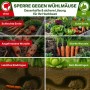 Wühlmausgitter-Effekt: Vergleich von Ernte mit/ohne Schutz vor Wühlmäusen.